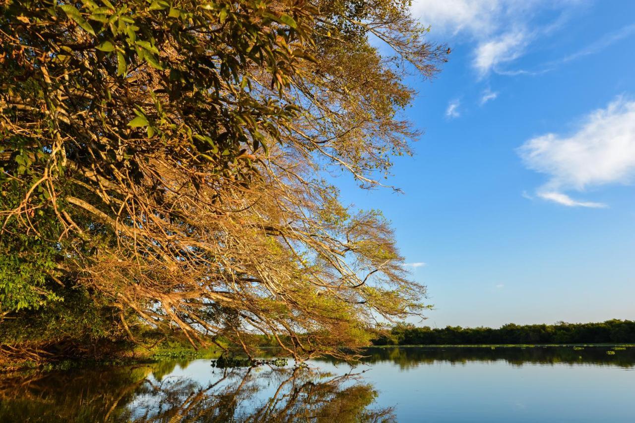 Poconé Pousada Rio Claro מראה חיצוני תמונה