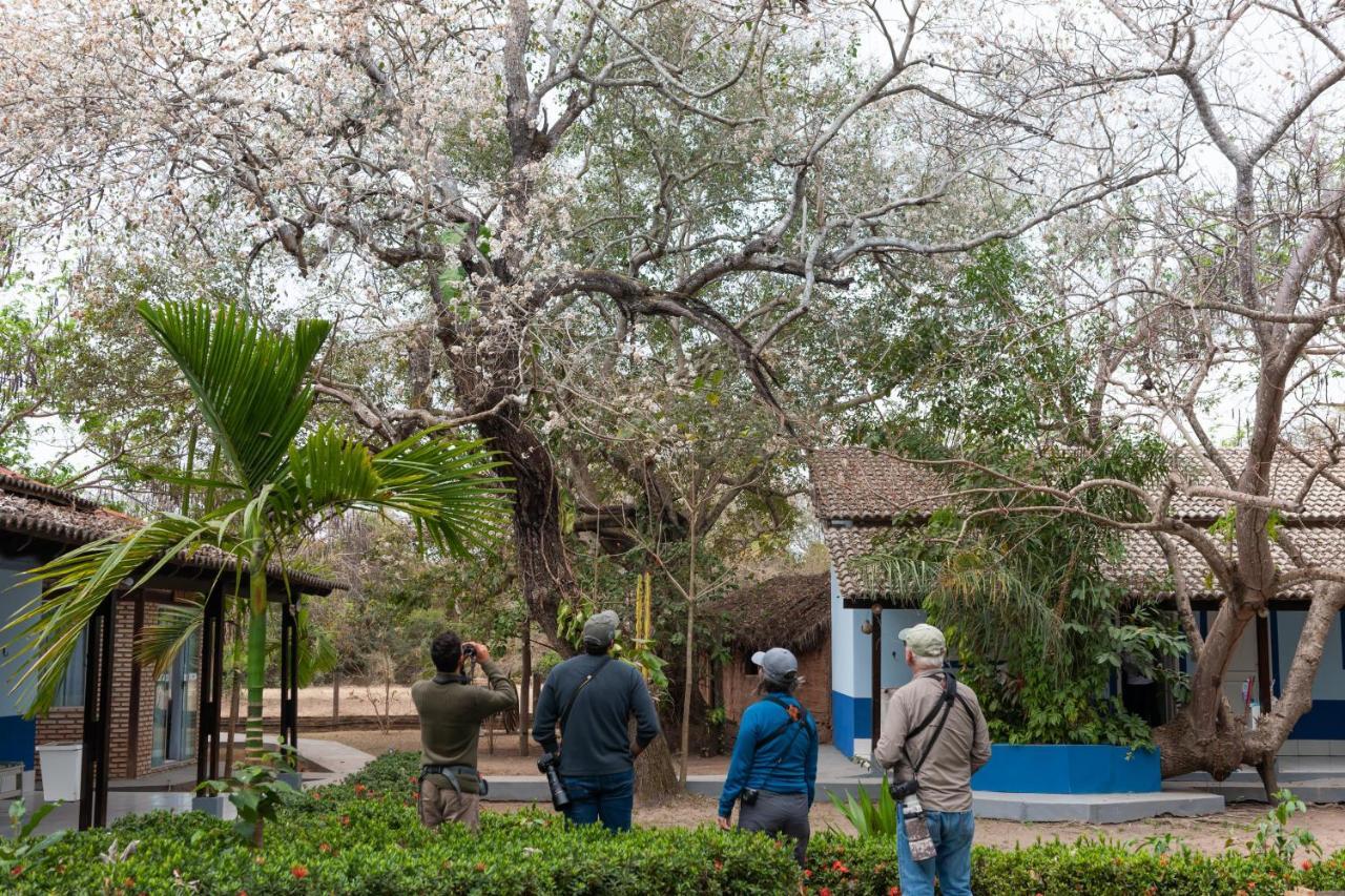 Poconé Pousada Rio Claro מראה חיצוני תמונה